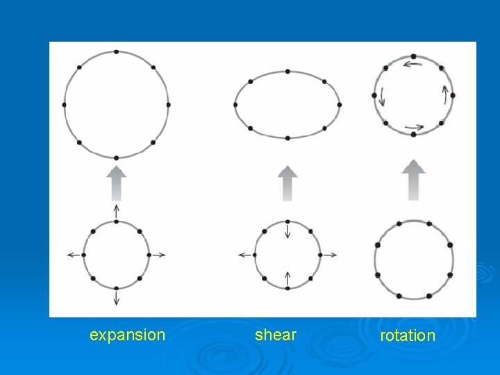 expansion shear rotation 