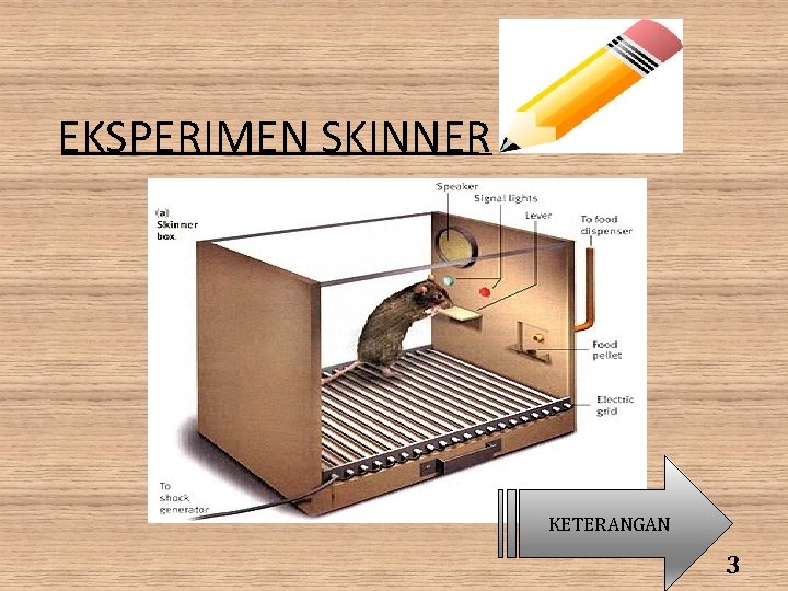 EKSPERIMEN SKINNER KETERANGAN 3 