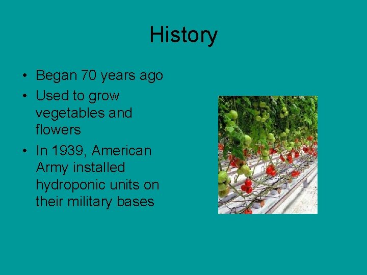 History • Began 70 years ago • Used to grow vegetables and flowers •