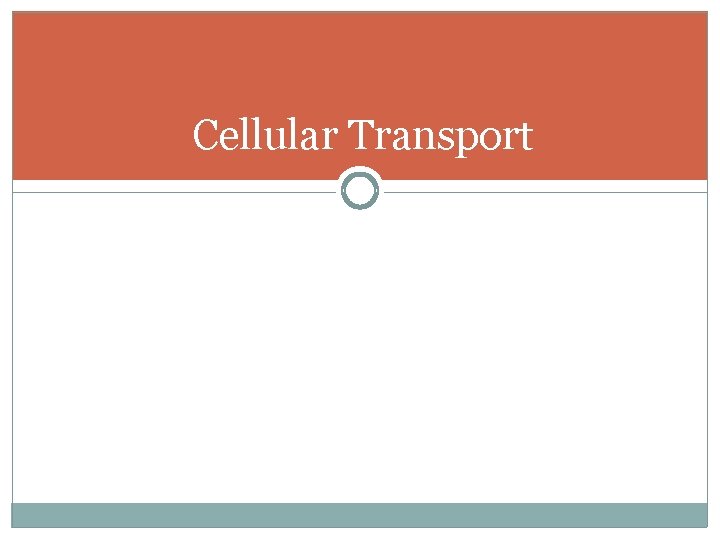 Cellular Transport 