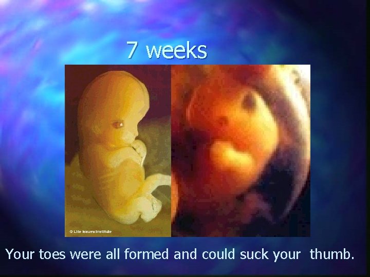 7 weeks Your toes were all formed and could suck your thumb. 