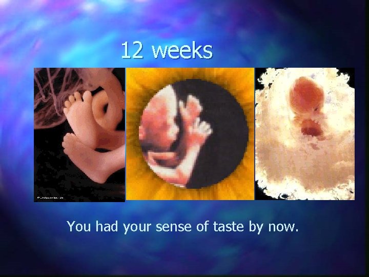 12 weeks You had your sense of taste by now. 