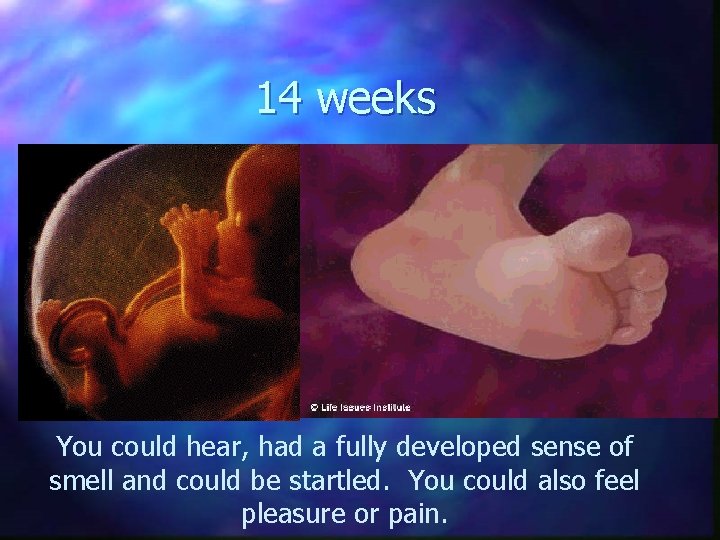 14 weeks You could hear, had a fully developed sense of smell and could