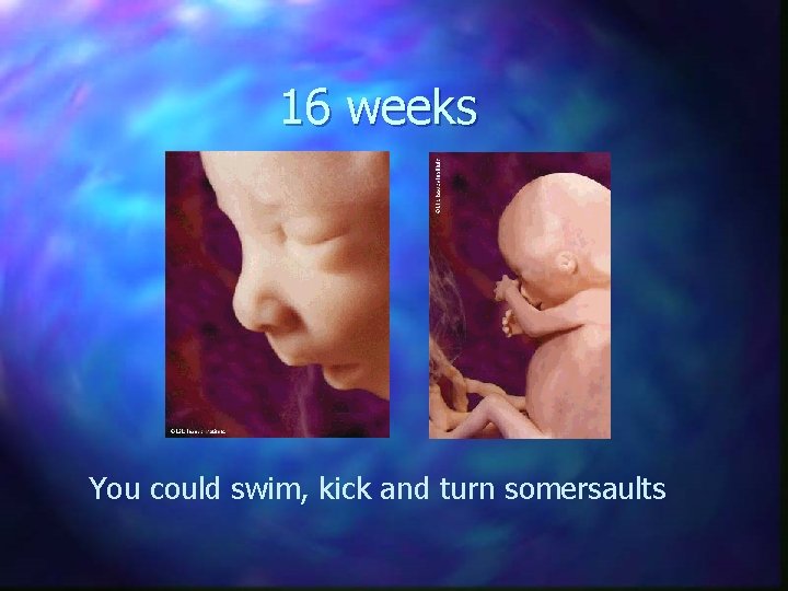 16 weeks You could swim, kick and turn somersaults 