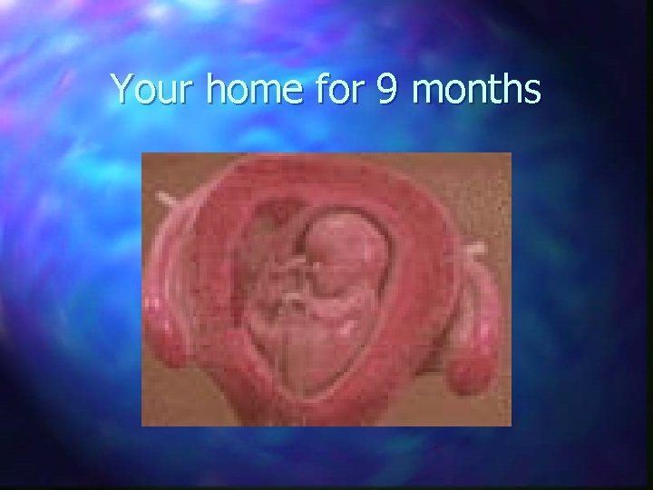 Your home for 9 months 
