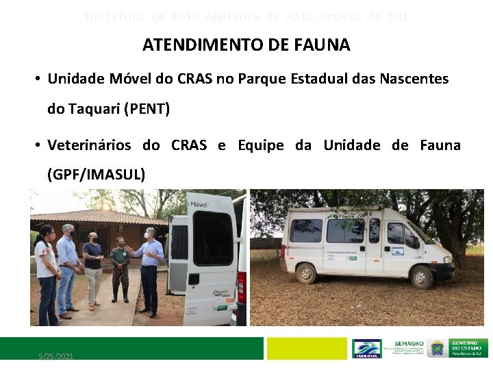 Instituto de Meio Ambiente de Mato Grosso do Sul ATENDIMENTO DE FAUNA • Unidade