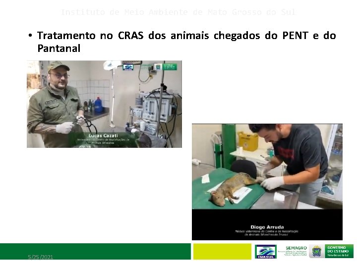 Instituto de Meio Ambiente de Mato Grosso do Sul • Tratamento no CRAS dos