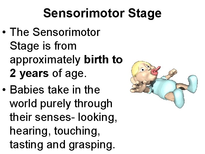 Sensorimotor Stage • The Sensorimotor Stage is from approximately birth to 2 years of