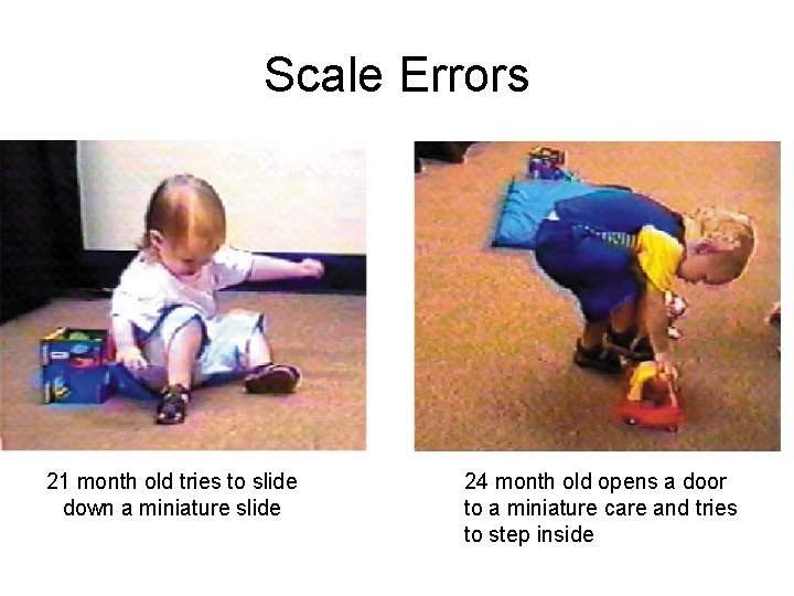 Scale Errors 21 month old tries to slide down a miniature slide 24 month