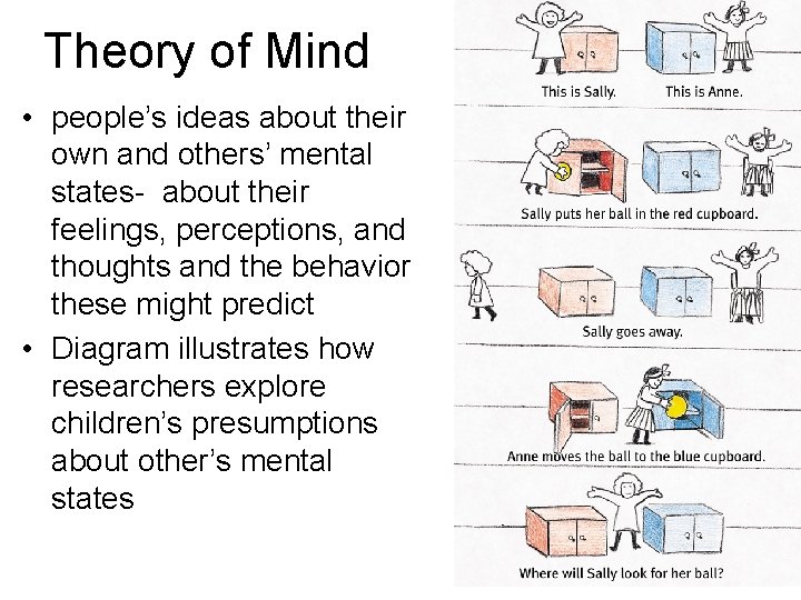 Theory of Mind • people’s ideas about their own and others’ mental states- about