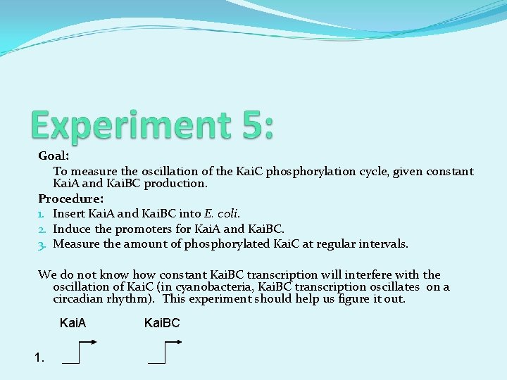 Goal: To measure the oscillation of the Kai. C phosphorylation cycle, given constant Kai.