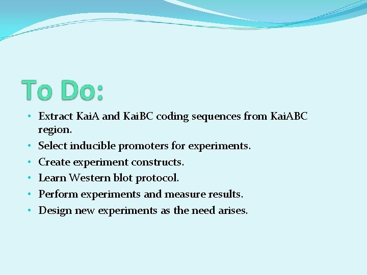  • Extract Kai. A and Kai. BC coding sequences from Kai. ABC region.