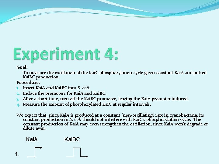 Goal: To measure the oscillation of the Kai. C phosphorylation cycle given constant Kai.