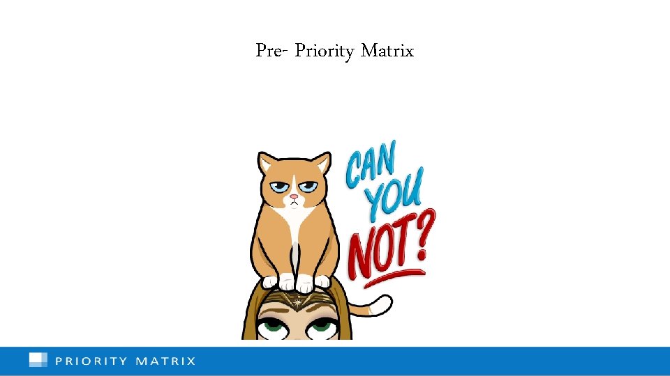 Pre- Priority Matrix 