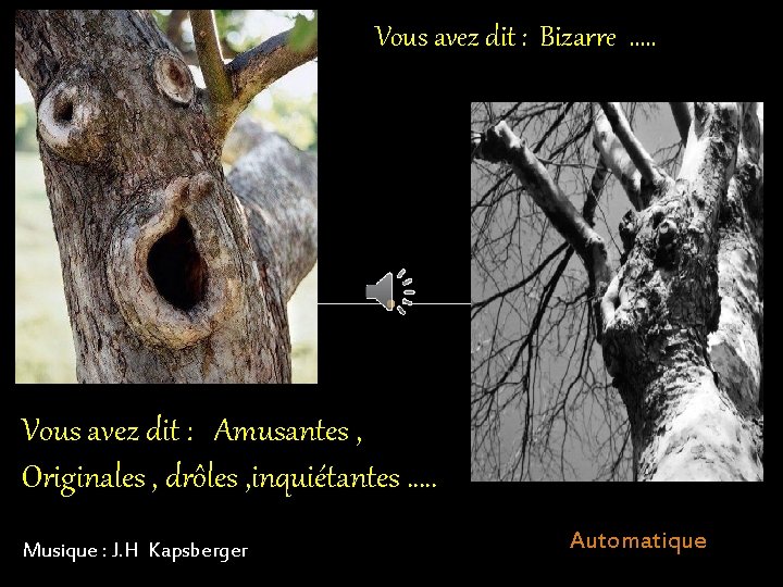 Vous avez dit : Bizarre …. . Vous avez dit : Amusantes , Originales