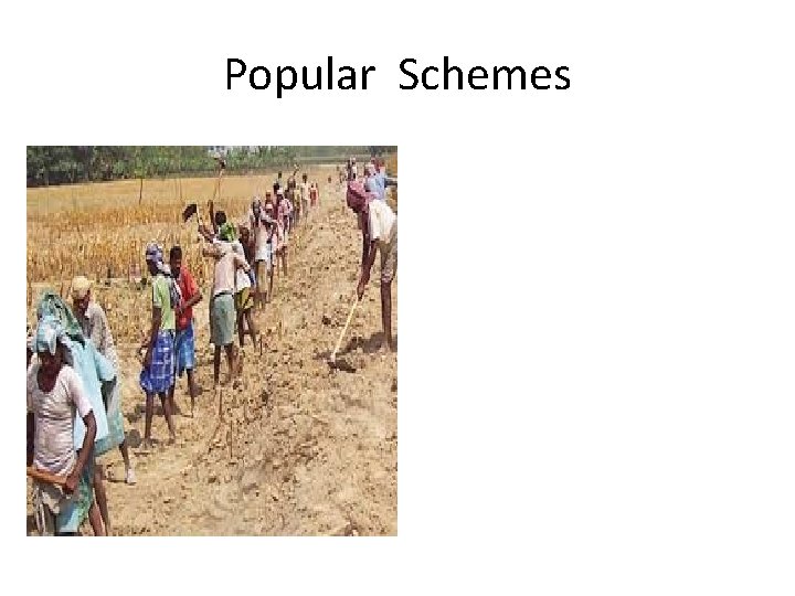 Popular Schemes 