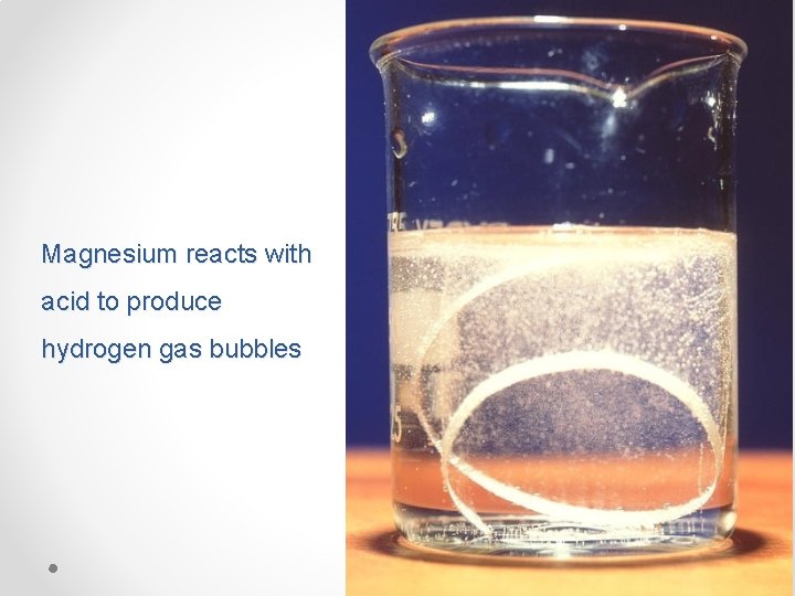 Magnesium reacts with acid to produce hydrogen gas bubbles 
