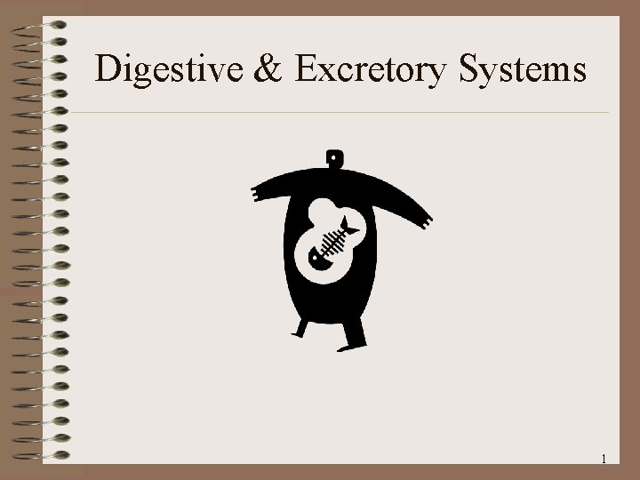 Digestive & Excretory Systems 1 