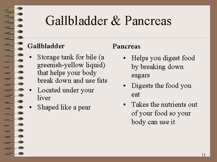 Gallbladder & Pancreas Gallbladder • Storage tank for bile (a greenish-yellow liquid) that helps