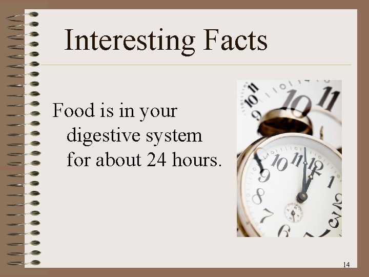 Interesting Facts Food is in your digestive system for about 24 hours. 14 