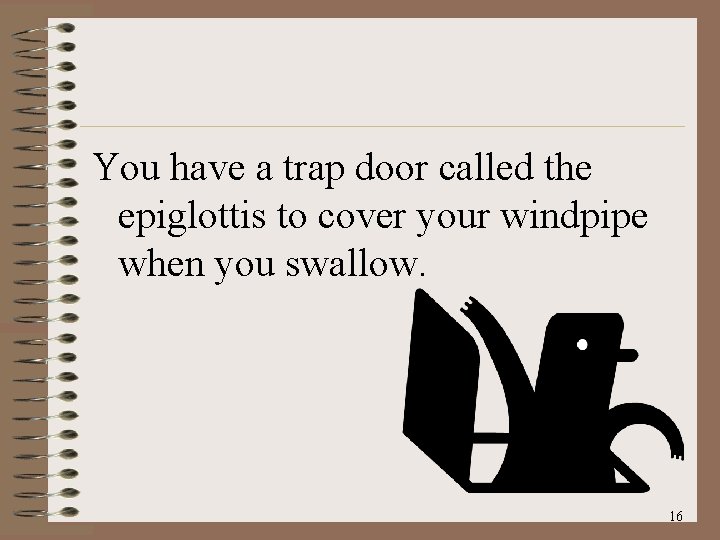 You have a trap door called the epiglottis to cover your windpipe when you