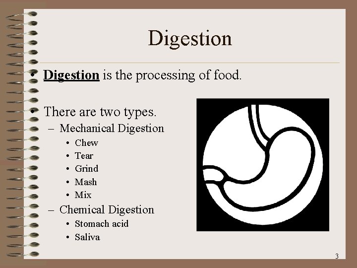 Digestion • Digestion is the processing of food. • There are two types. –