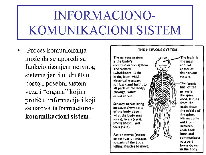 INFORMACIONOKOMUNIKACIONI SISTEM • Proces komuniciranja može da se uporedi sa funkcionisanjem nervnog sistema jer