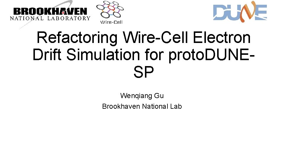 Refactoring Wire-Cell Electron Drift Simulation for proto. DUNESP Wenqiang Gu Brookhaven National Lab 