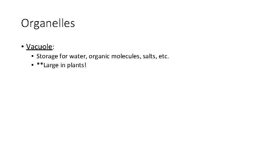 Organelles • Vacuole: • Storage for water, organic molecules, salts, etc. • **Large in