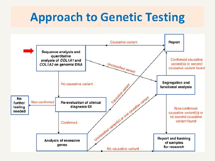 Approach to Genetic Testing 