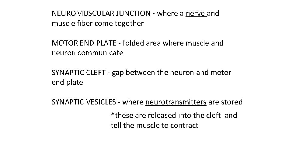 NEUROMUSCULAR JUNCTION - where a nerve and muscle fiber come together MOTOR END PLATE