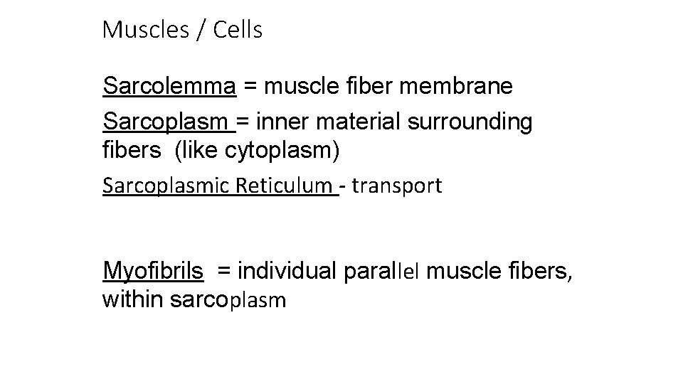 Muscles / Cells Sarcolemma = muscle fiber membrane Sarcoplasm = inner material surrounding fibers
