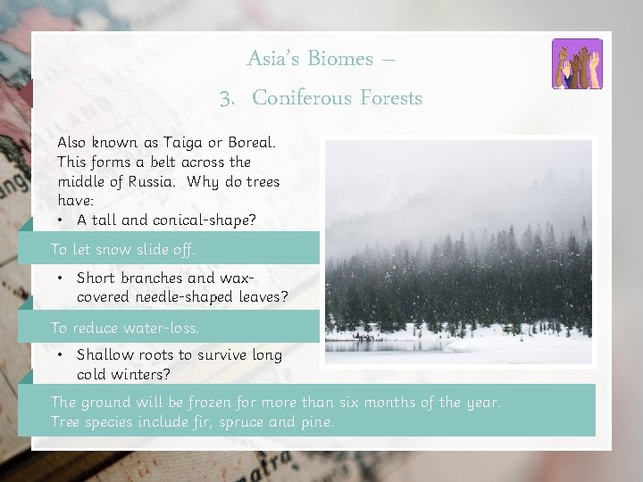 Asia’s Biomes – 3. Coniferous Forests Also known as Taiga or Boreal. This forms