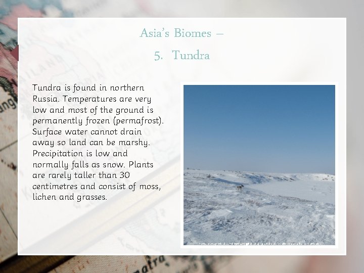 Asia’s Biomes – 5. Tundra is found in northern Russia. Temperatures are very low