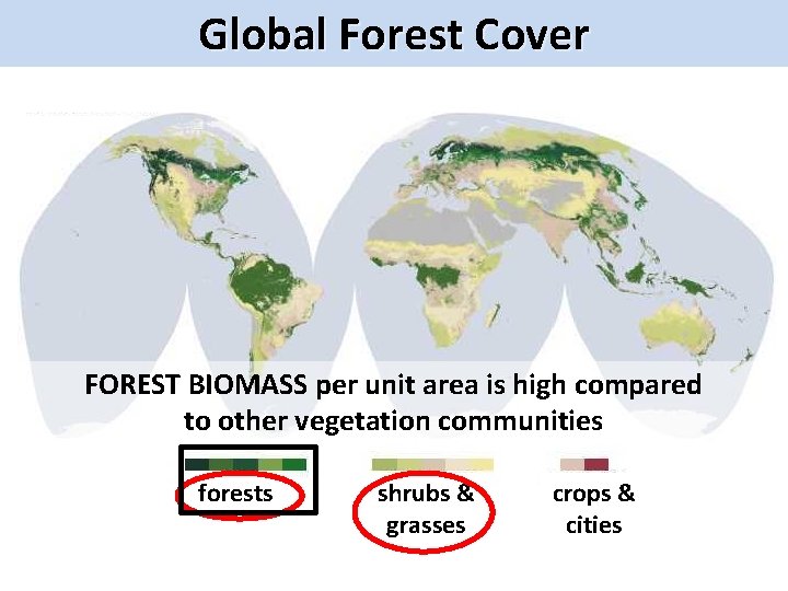 Where Global Forests Forest Cover Grow FOREST BIOMASS per unit area is high compared