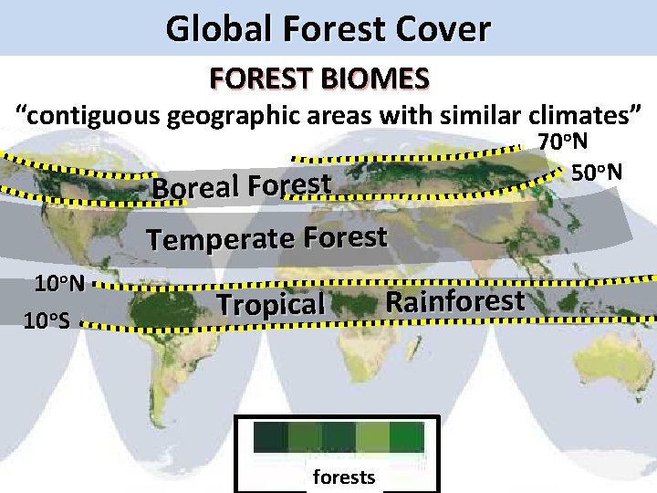 Global Forest Cover FOREST BIOMES “contiguous geographic areas with similar climates” Boreal Forest Temperate