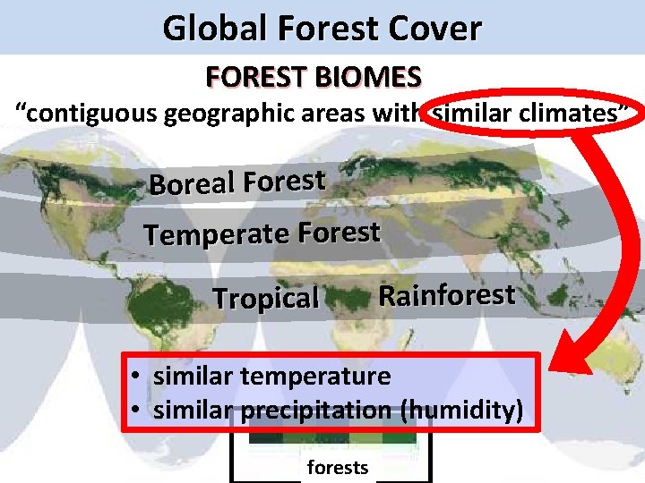 Global Forest Cover FOREST BIOMES “contiguous geographic areas with similar climates” Boreal Forest Temperate