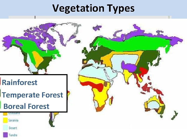 Annual precipitation (inches) Vegetation Types Tropical forest 20”-170” precip 75 o - 90 o