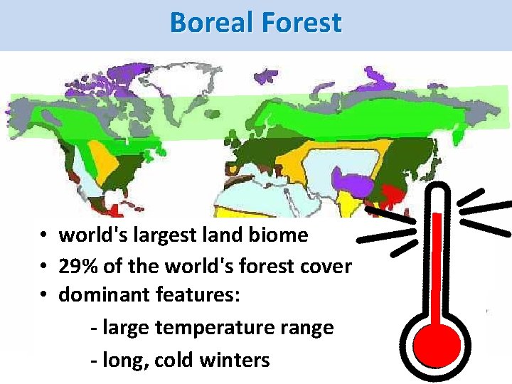 Boreal Forest • world's largest land biome • 29% of the world's forest cover