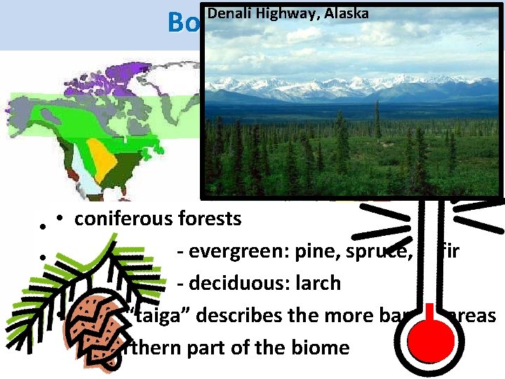 Boreal Forest Denali Highway, Alaska Al-Can Highway, British Columbia • • world's coniferous forests