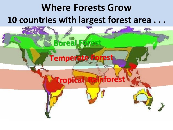 Where Forests Grow 10 countries with largest forest area. . . Boreal Forest Temperate