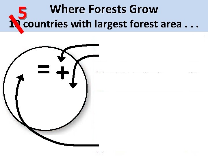 5 10 countries with largest forest area. . . Where Forests Grow =+ 