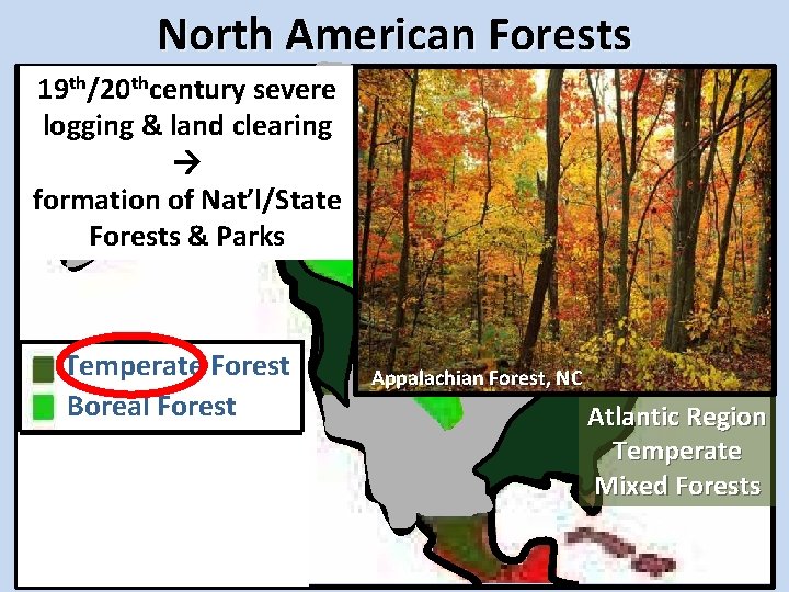 North American Forests 19 th/20 thcentury severe logging & land clearing formation of Nat’l/State