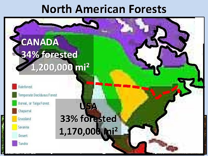 North American Forests Can adi an CANADA 34% forested Pacific mi 2 1, 200,