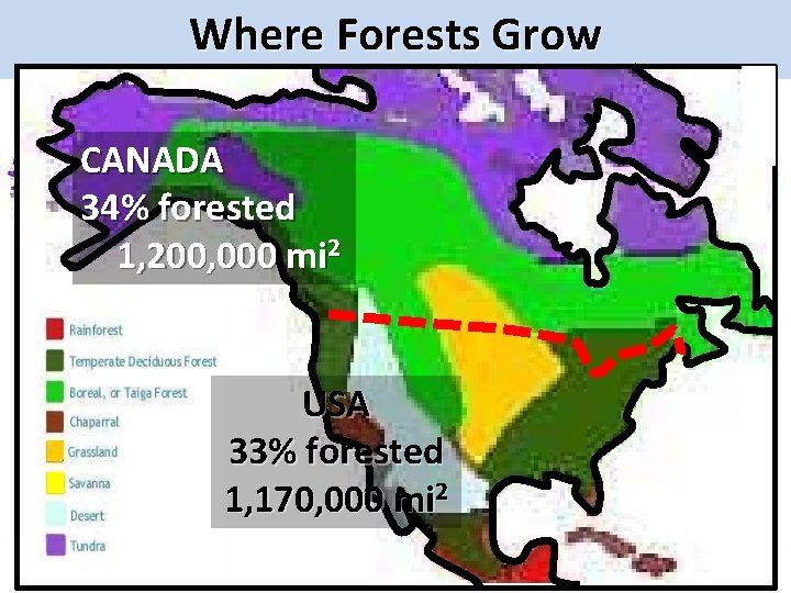 North Where American Forests Grow CANADA 34% forested 1, 200, 000 mi 2 USA