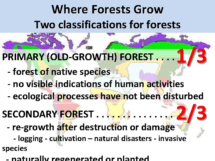 Where Forests Grow Two classifications forests PRIMARY (OLD-GROWTH) FOREST. . 1/3 - forest of