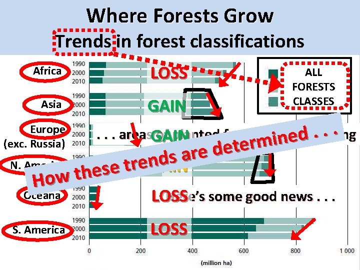 Where Forests Grow Trends in forest classifications Africa LOSS Asia GAIN Europe (exc. Russia)