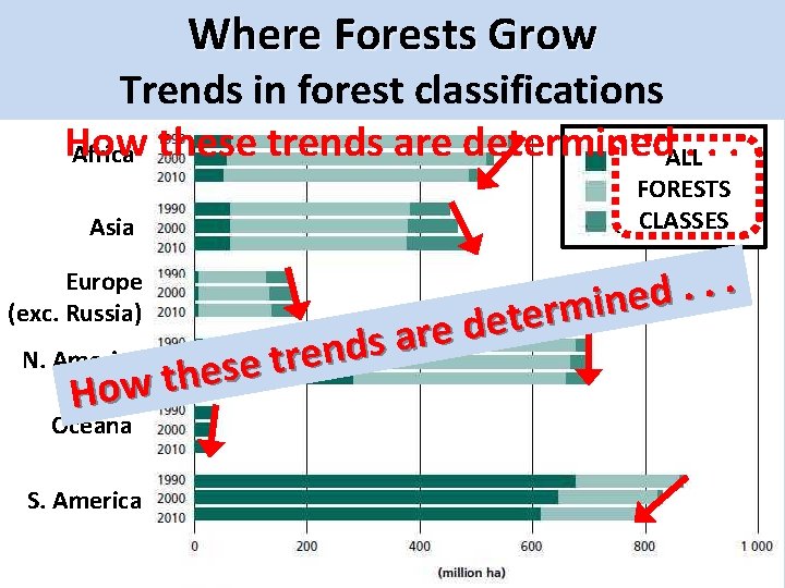 Where Forests Grow Trends in forest classifications How. . . Africa these trends are