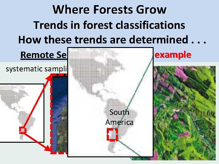 Where Forests Grow Trends in forest classifications How these trends are determined. . .