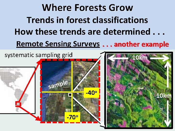 Where Forests Grow Trends in forest classifications How these trends are determined. . .